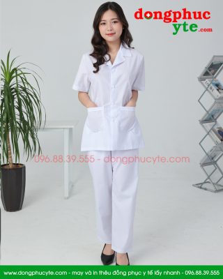 Áo blouse tại An Giang